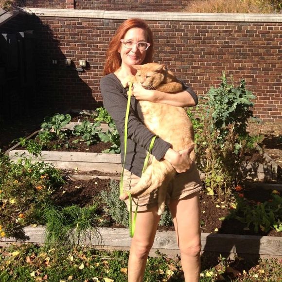 Meet your Posher, Dawnlyn - Picture 1 of 1